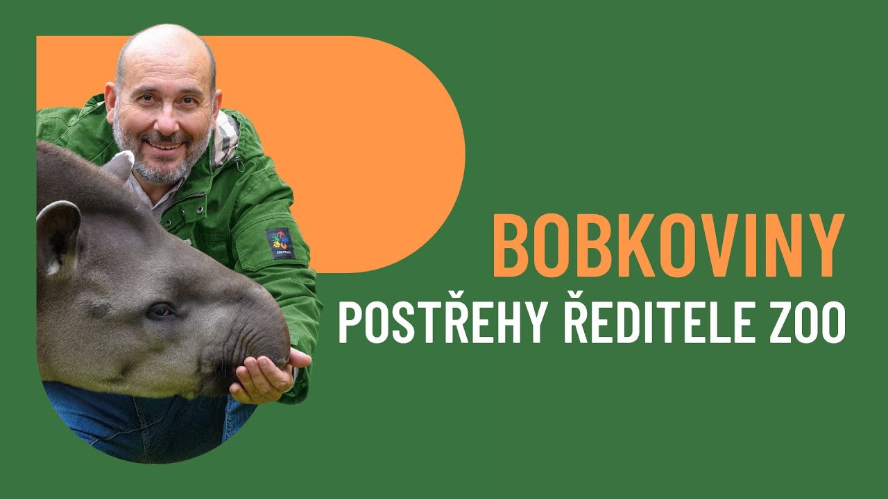 BOBKOVINY: Tajemství zvířat Zoo Praha. Pohlédněte do zákulisí!