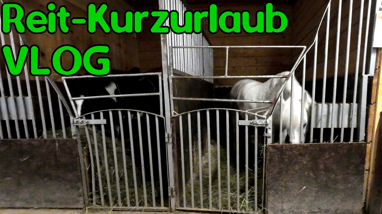 Reiten bei den Vampiren (Kurzurlaub-VLOG)