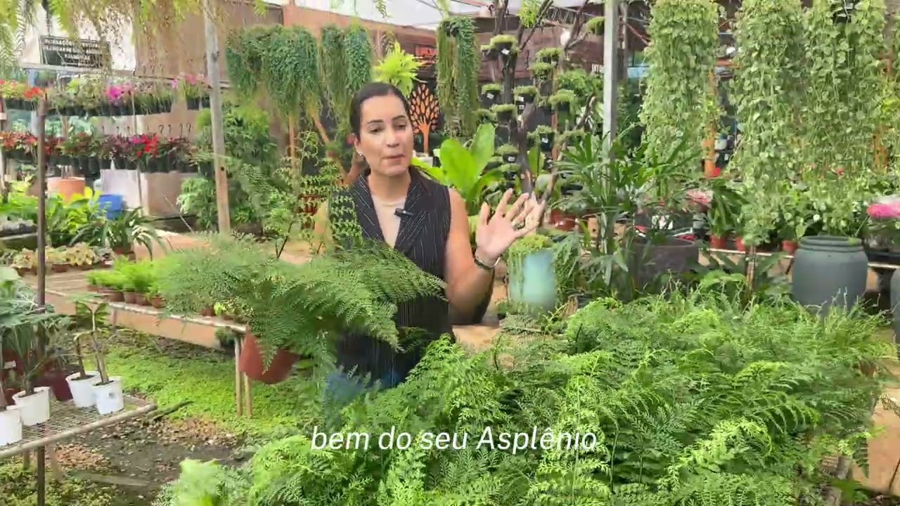 As plantas queridinhas do seu jardim !