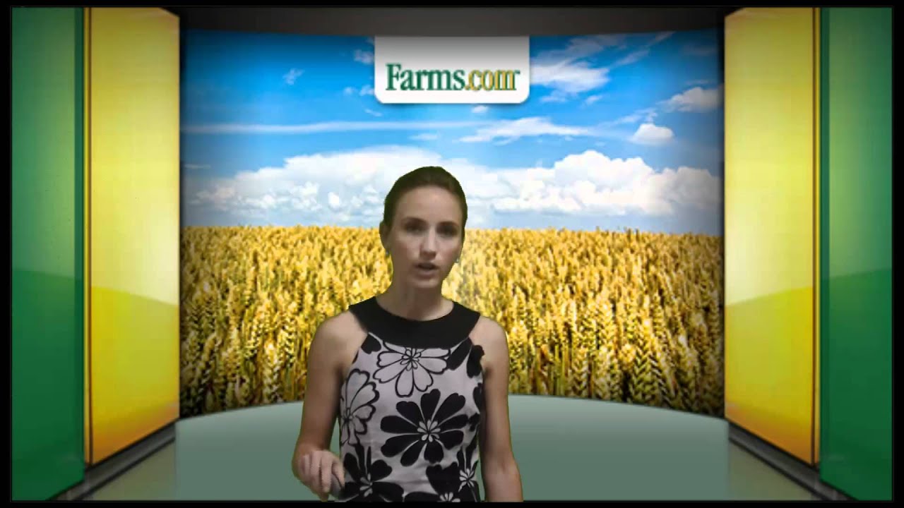 Farms.com Grain Market Report:  Grain Prices Retreat On Outside Market News.