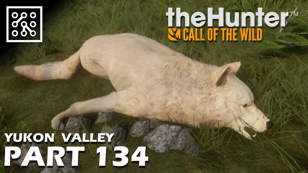 The Hunter: Call of the wild CZ | Zabili mě vlci - #134 | Česky