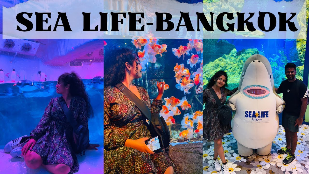 තායිලන්තයේ බැලිය යුතුම මින්  මැදුර | Sea Life in Bangkok | One of the best aquarium in the world