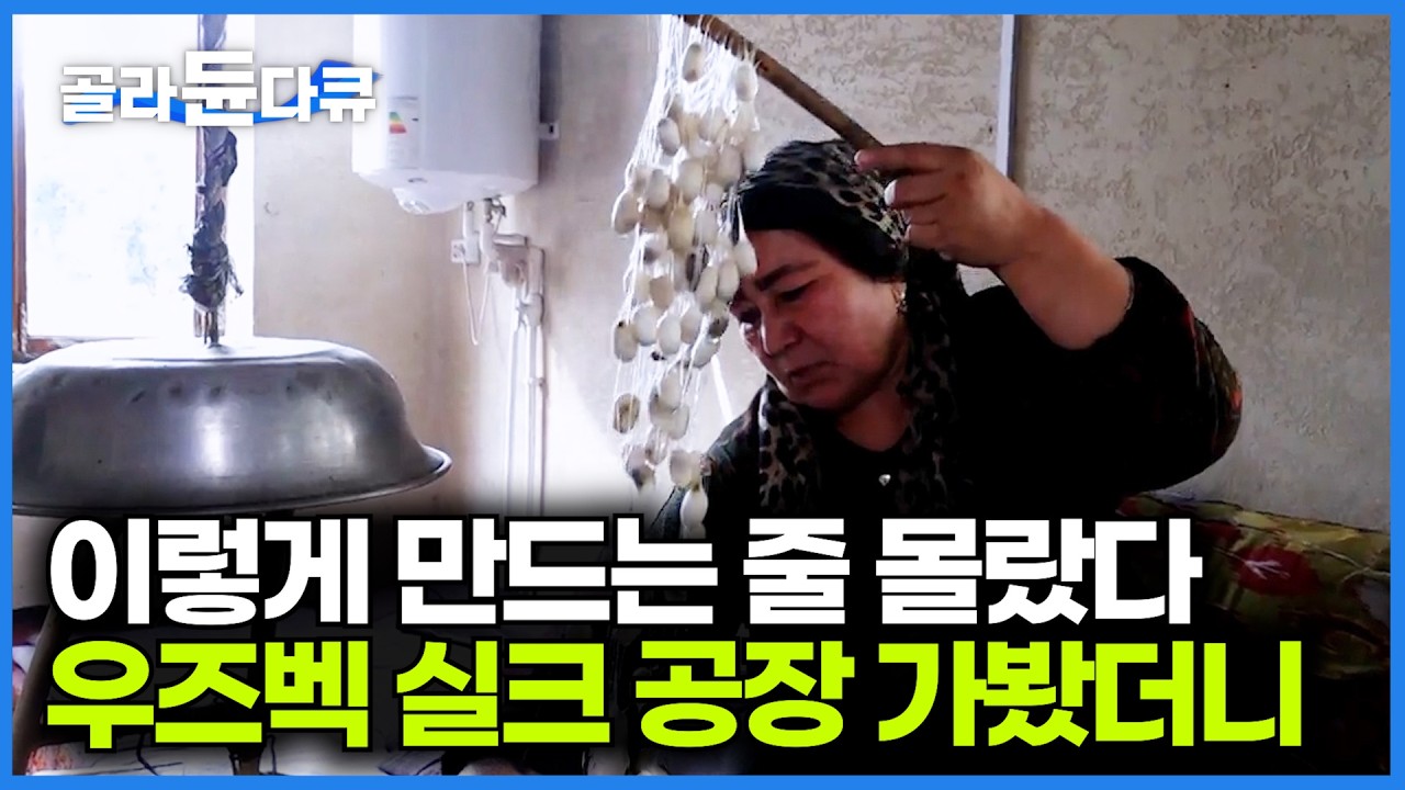 실크가 비쌀 수밖에 없는 이유가 있었다. 우즈베키스탄 실크 공장 가봤더니｜까다로운 생산 과정 공개｜극한직업｜#골라듄다큐