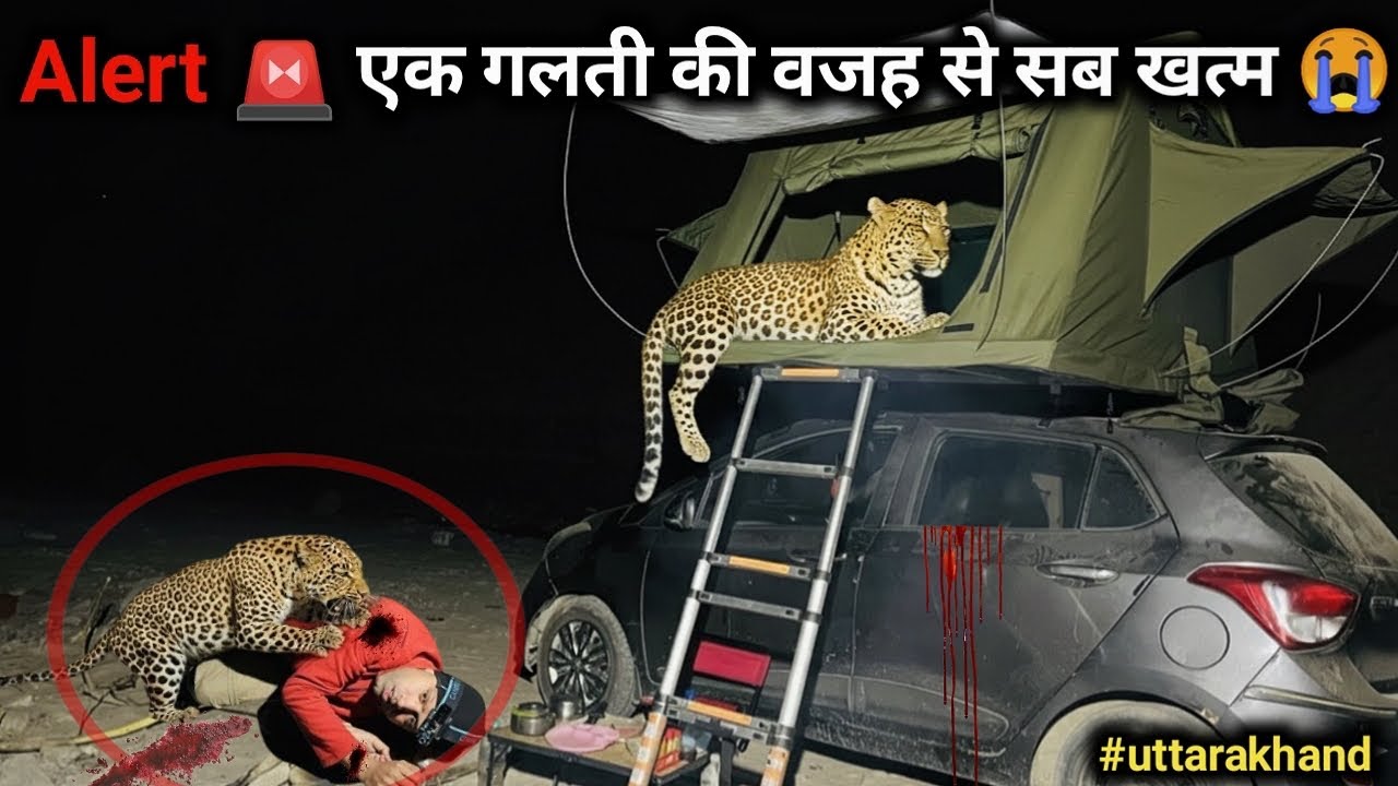 Alert ‼️ एक गलती सब ख़त्म ￼Solo Rooftop Tent Night Camping In Dangerous Forest Jungle Camping video