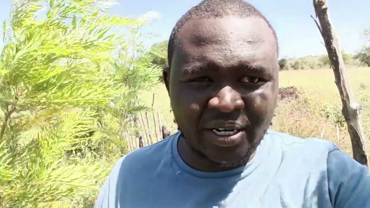 From the Farm | Planting 10,000 Trees| Fruit & Tree Farming in Kenya | Agroforestry | PART 7