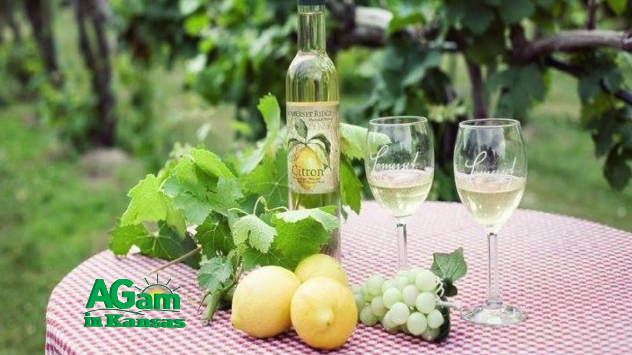 Around Kansas -  Somerset Wine Trail Trolley - May 17, 2017