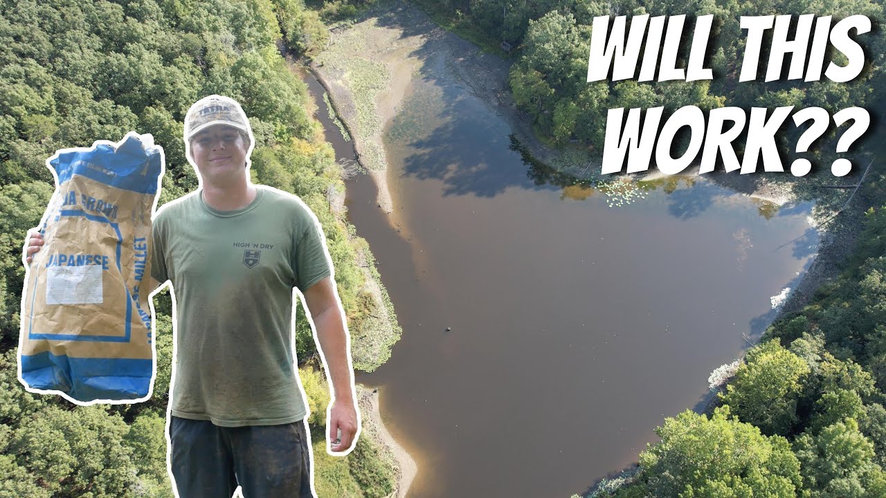 Planting Japanese Millet WAY Too Late | CRAZY Trail Cam Video