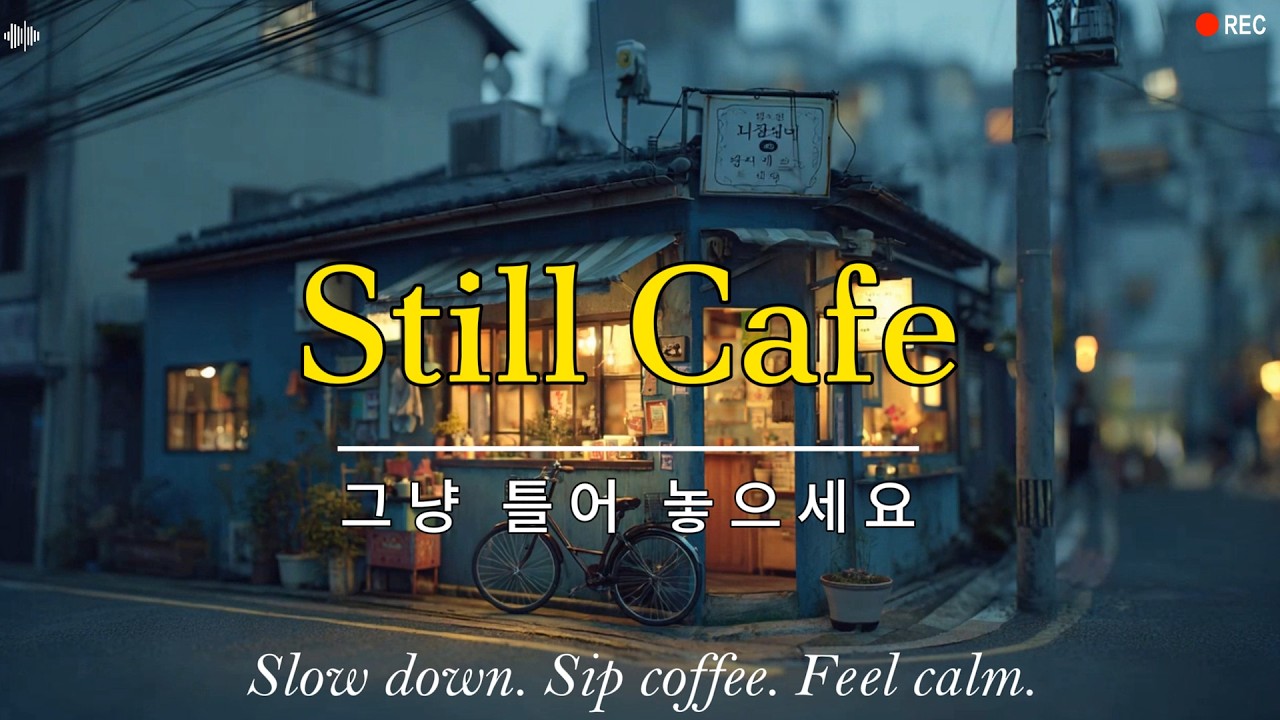 봄비 내리는 숲속 카페 | 햇빛이 스며드는 창가, 편안하게 틀어 두기 좋은 봄 감성 팝 플레이리스트