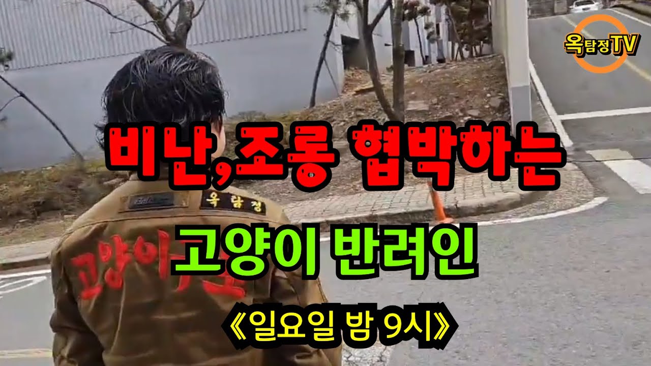 이젠 비정상적인 사람 의뢰는 받지 않아야 될것 같아요