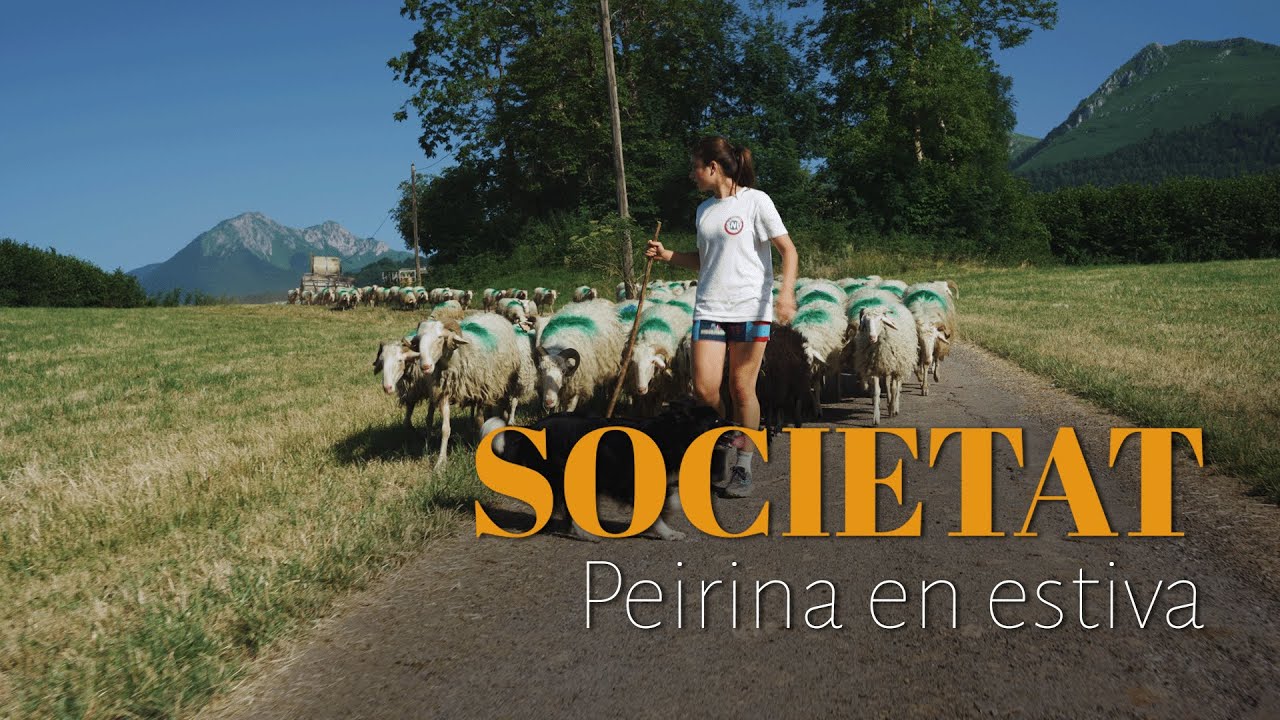 Peirina en estiva - Societat