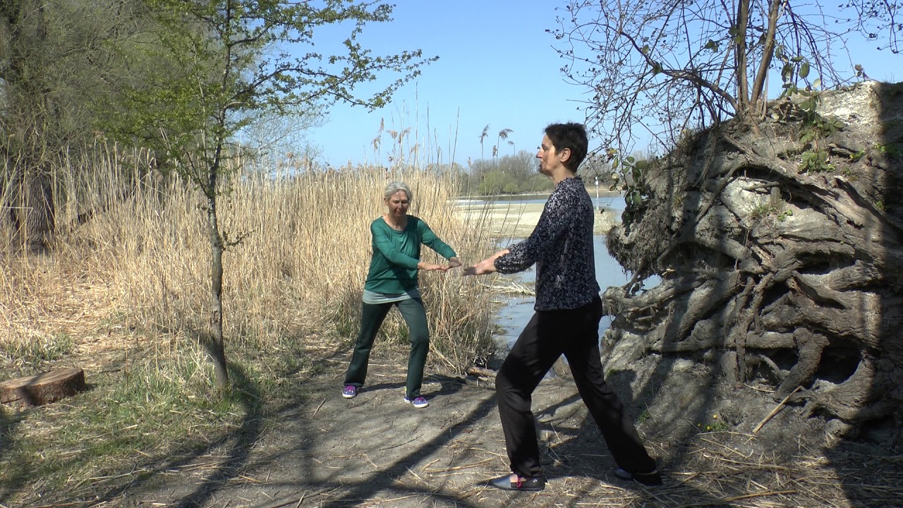 ,15 Ausdrucksformen des Taiji-Qigong' by Bettina Viola Wills und Anita Flossdorf
