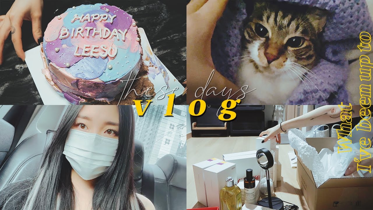 (sub) What I've been up to ; 요즘 일상 vlog #07 🐷 먹고 또 먹고...