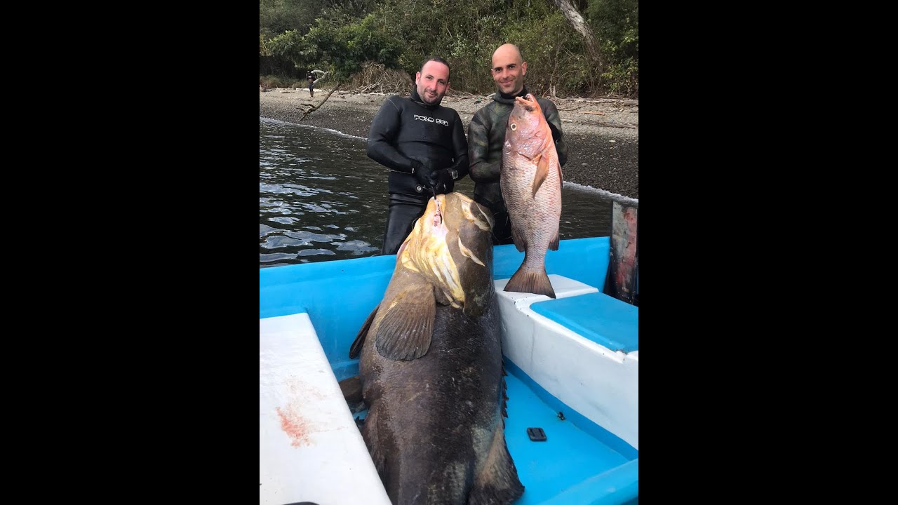 PESCA SUBMARINA EN COSTA RICA 2020