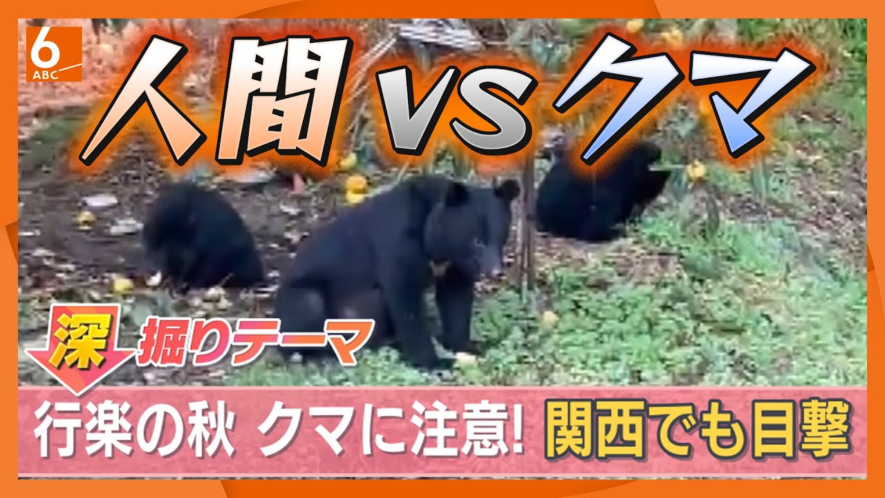 人間の食べ物はクマにとって‟麻薬”　‶アーバンベア”はもはや人里を餌場と認識か　東北地方は個体数が増えすぎた異常事態で対策急務　多発の原因と対策は【きょうの深掘り】