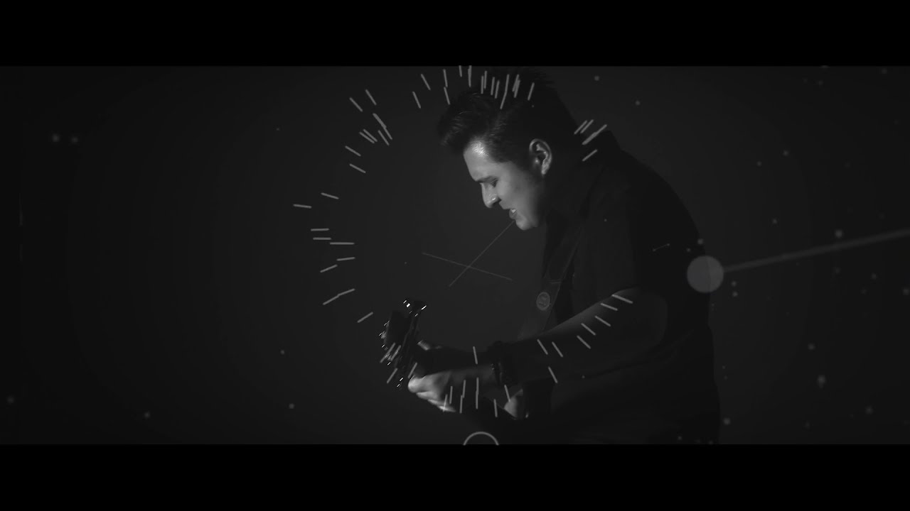 The Genotype - Analogue Earth