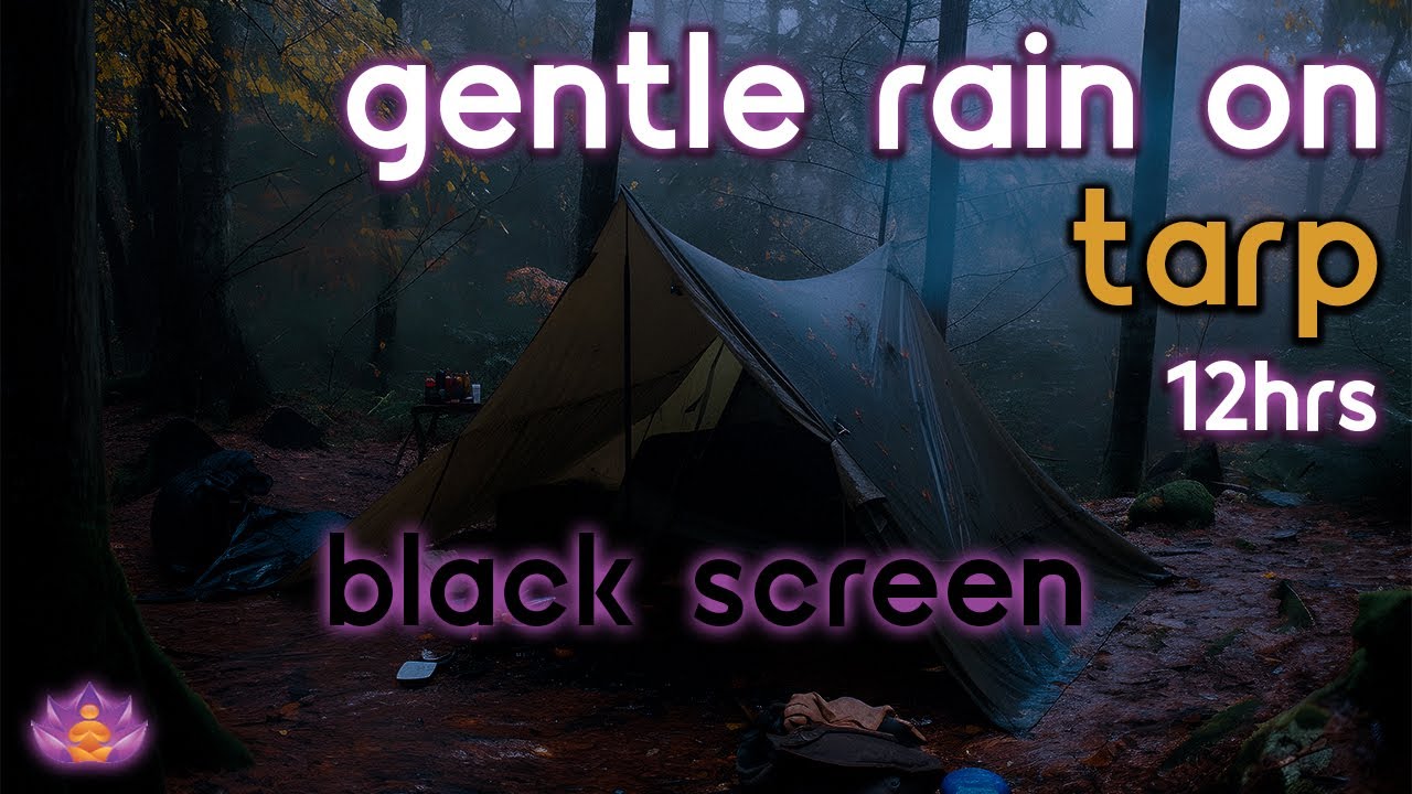 [Black Screen] Gentle Rain on Tarp No Thunder | Rain Ambience | Rain Sounds for Sleeping