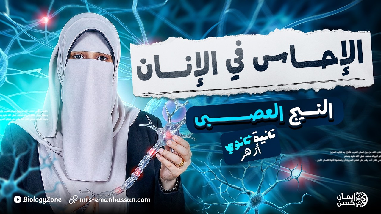 شرح درس الاحساس فى الانسان [النسيج العصبي] كاملاً | احياء تانيه ثانوى الترم الثانى 2026 🌳✅