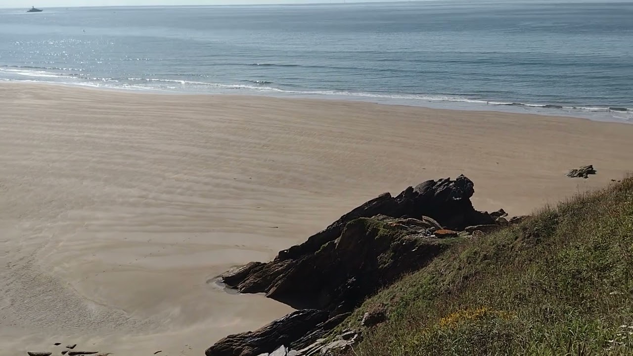 Walking down the cliff path at Freathy Cliff onto Whitsand Beach with dogs