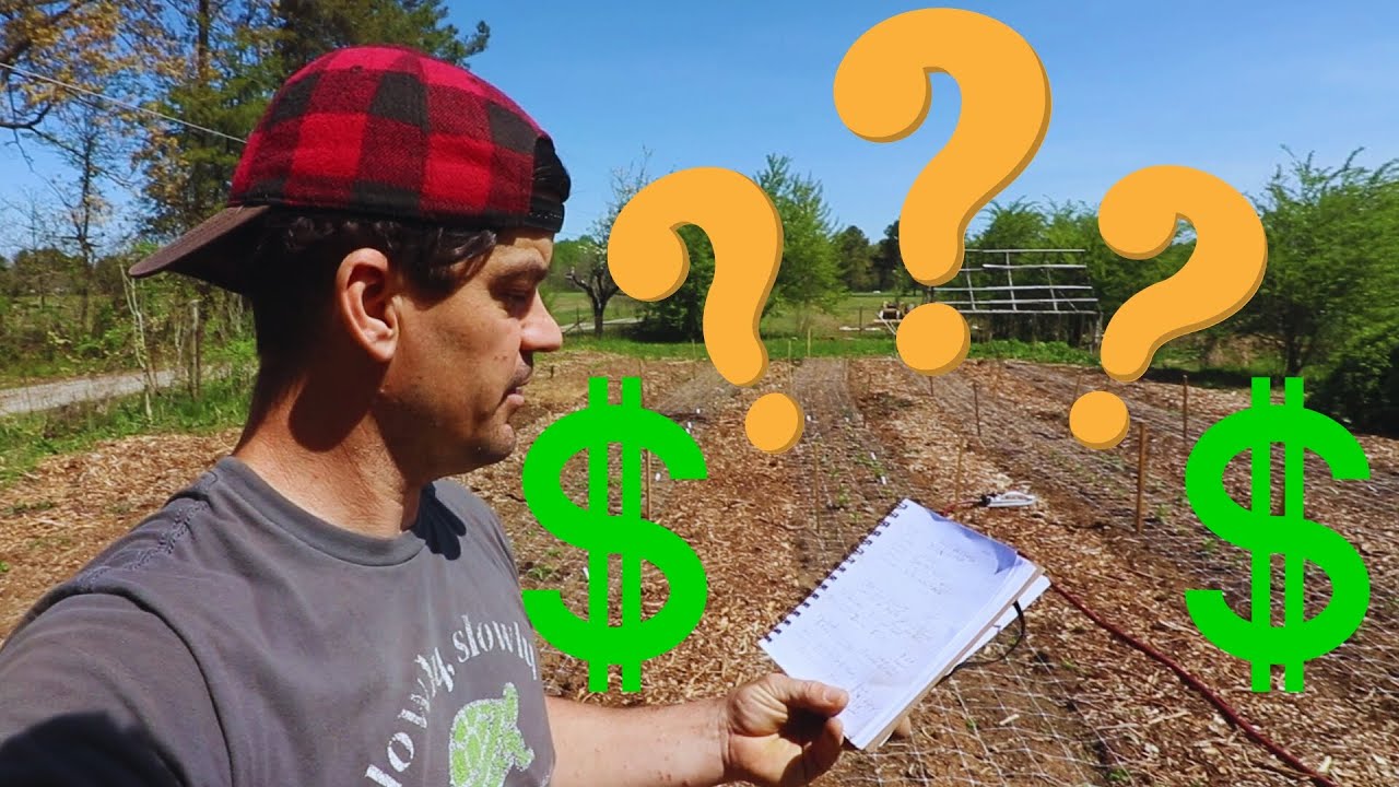 REAL NUMBERS!! Can You Make Money On A Hobby Farm?