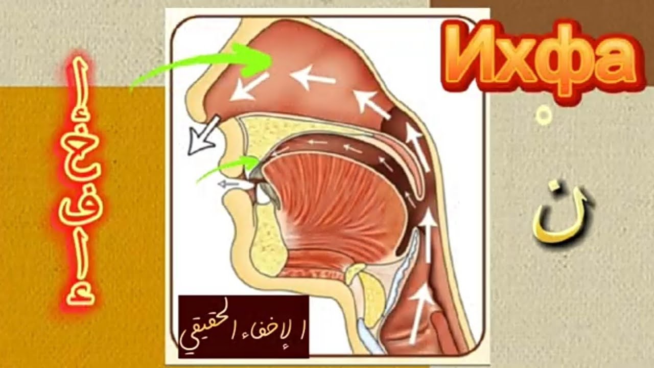 Ихфа ن (нун) с ق (каф) и ك (кяф)