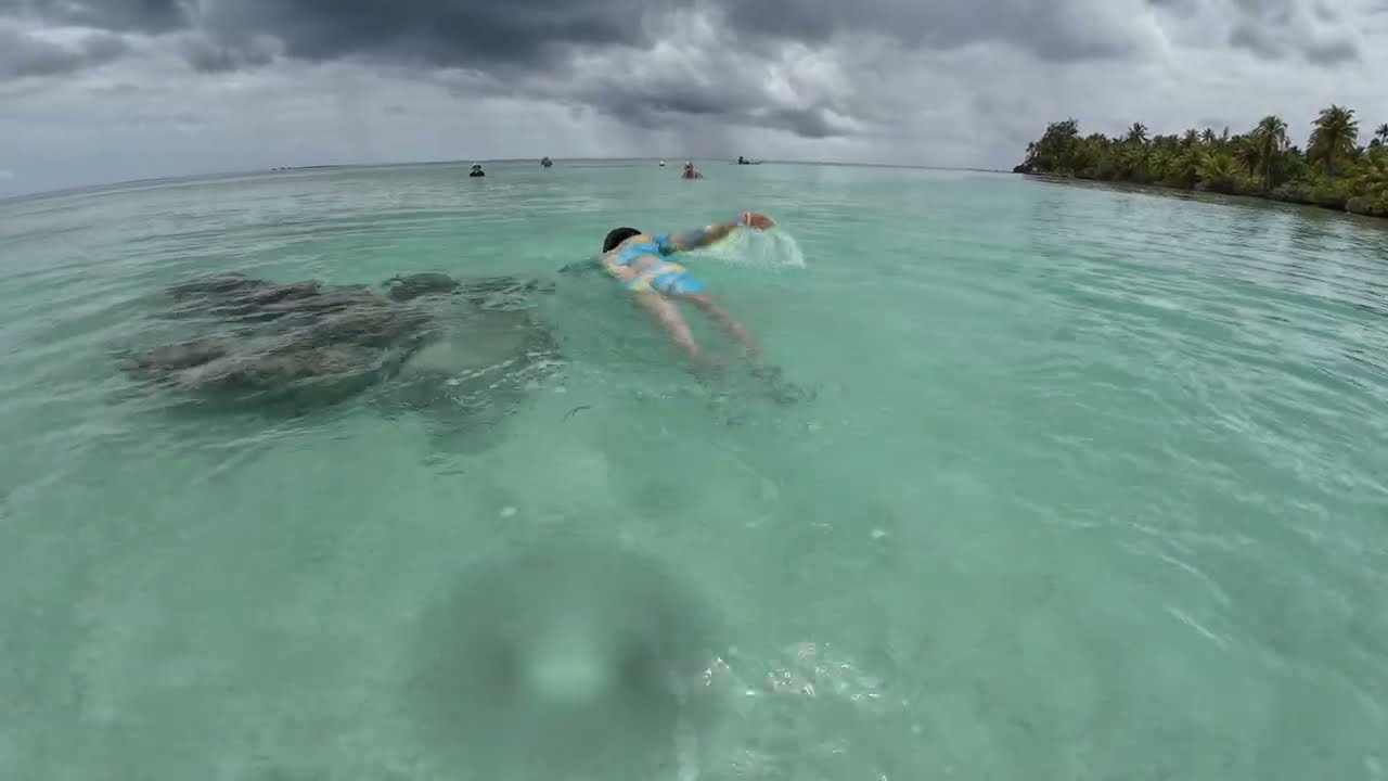 Rangiroa's Green Lagoon, 2026.0118