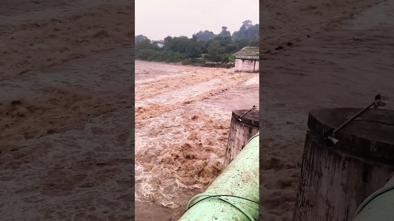 Ramnagar bairaj #rainyday  #flood #baad
