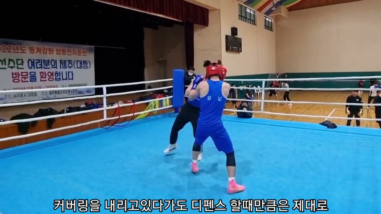 복싱 국가대표 함상명 vs10체급 석권 서민제
