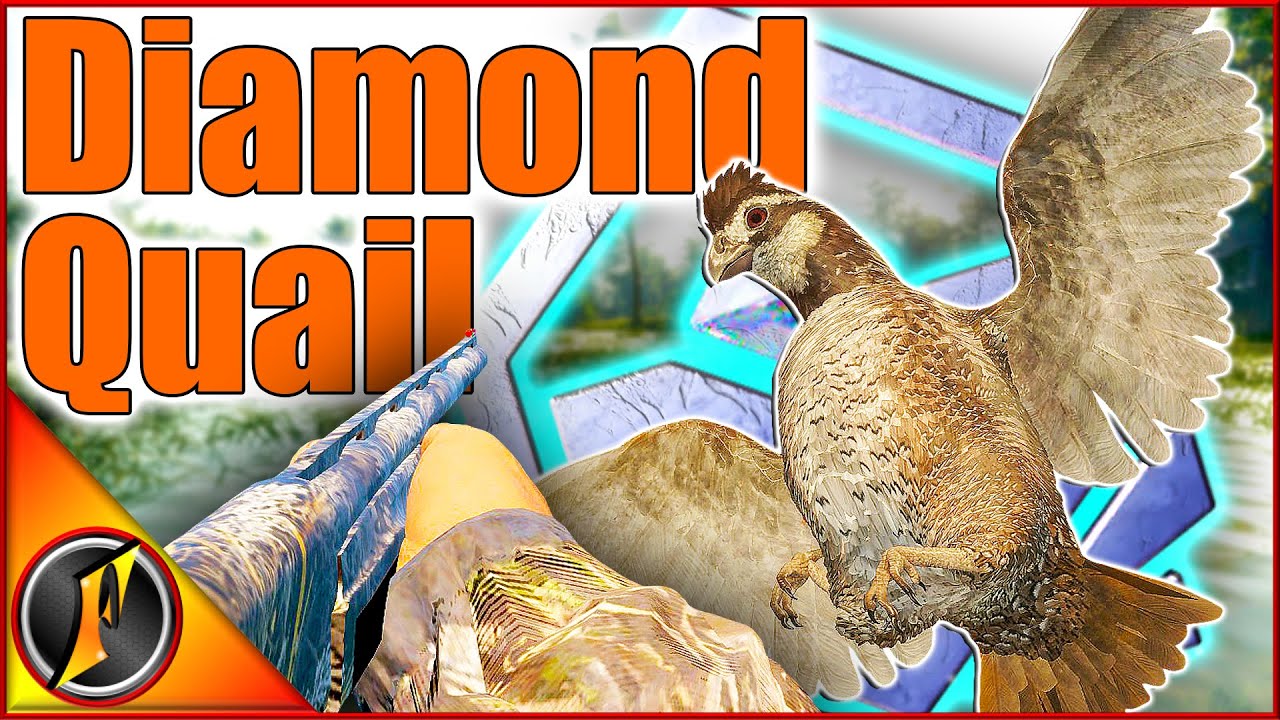 Diamond Bobwhite Quail!!! | Another Checklist Trophy ✅ | theHunter Call of the Wild