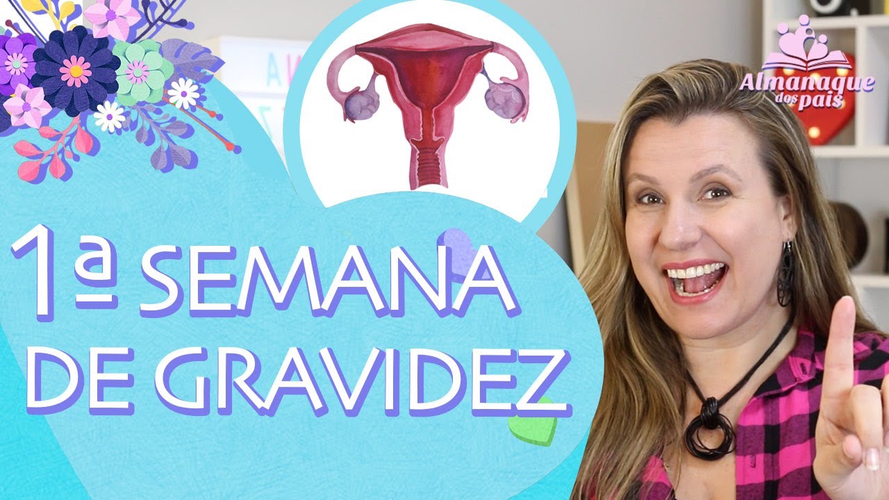 1&ordf; SEMANA DE GESTA&Ccedil;&Atilde;O | Sintomas, Como est&aacute; o beb&ecirc;. DUM. Semanas X meses | 1&ordm; TRIMESTRE DE GRAVIDEZ