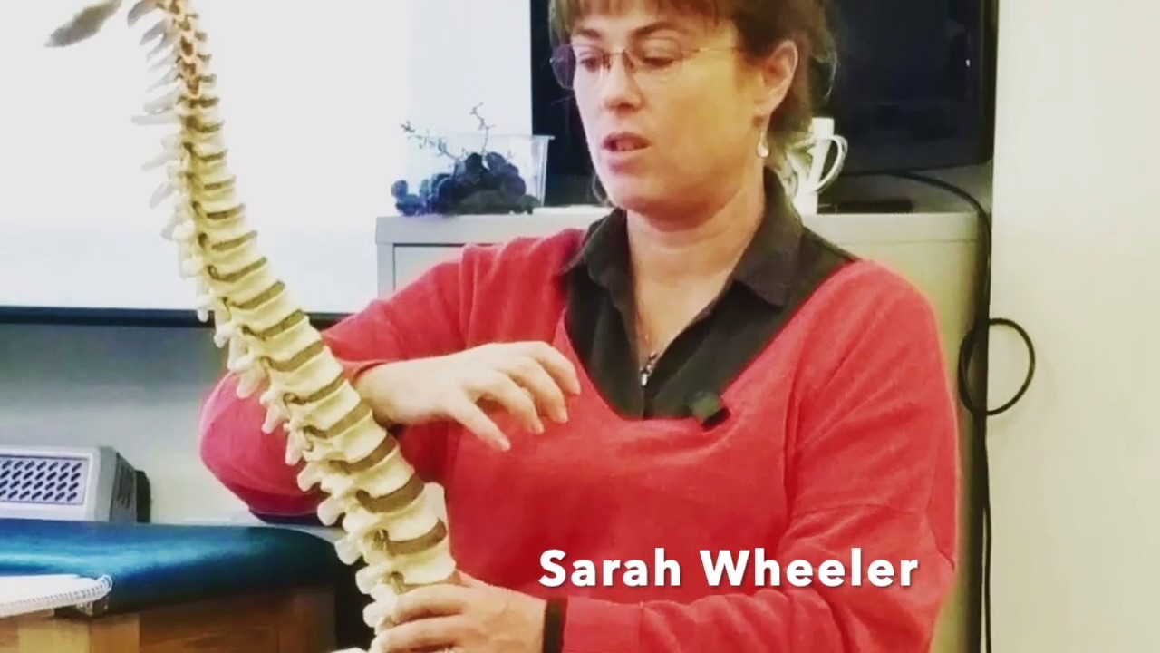 Classical Osteopathy - Principles Obstetrics and Gynecology