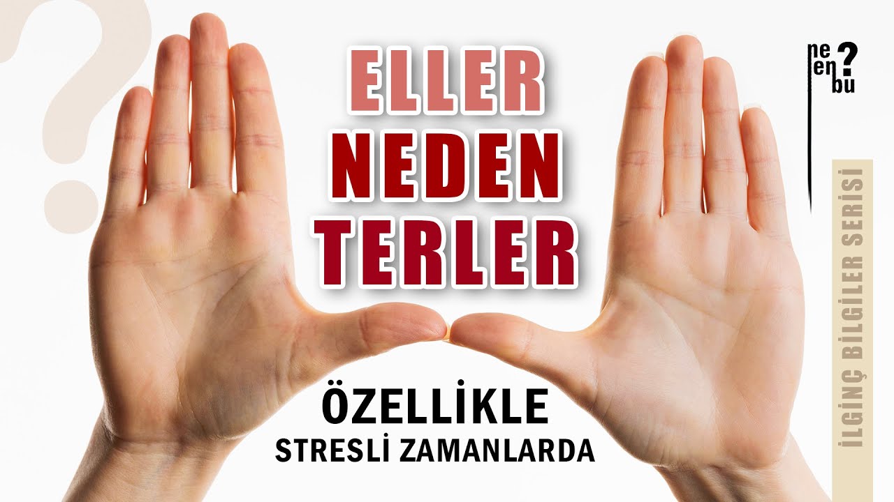 Avu&ccedil;larımız Neden Terler? - İlgin&ccedil; Bilgiler Serisi