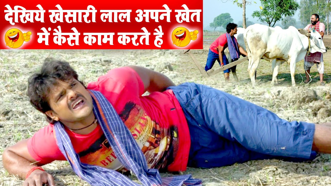 देखिये खेसारी लाल अपने खेत में कैसे काम करते है  -- Dilwala