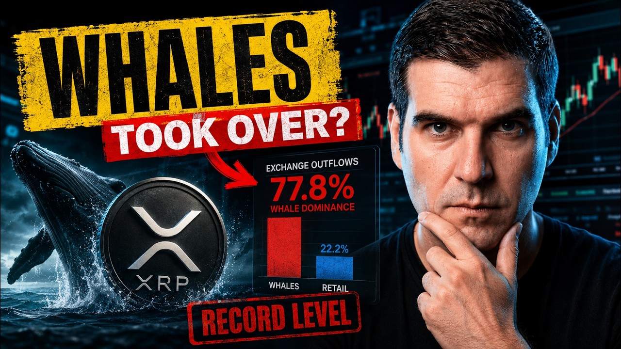 Китовые кошельки XRP теперь обеспечивают 77,8% оттока с бирж