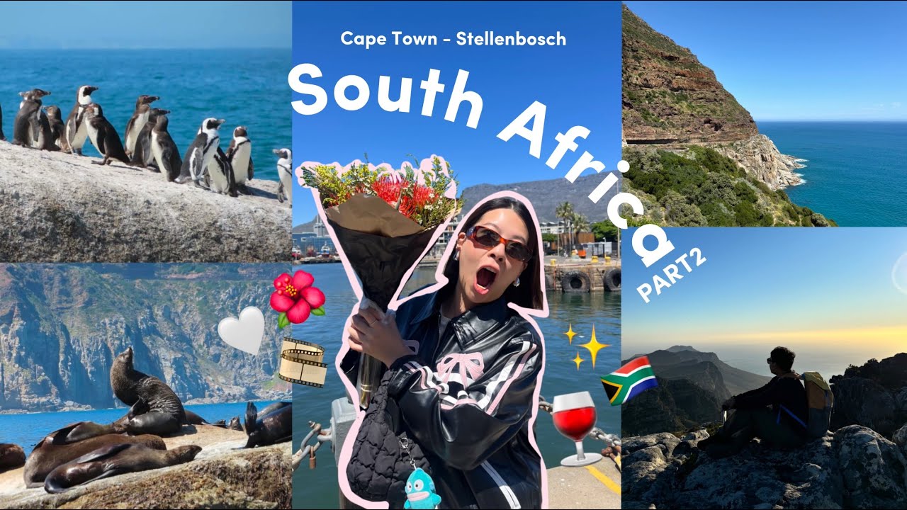 Ep.2 SOUTH AFRICA🇿🇦 | เคปทาวน์ สเตลเลนบอช เมืองที่สวยที่สุดในโลก🍷Cape town - Stellenbosch |GowithGib