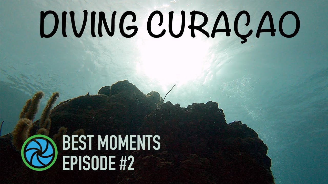 Diving Curaçao - Best Moments - Episode #2 | TropicLens   4K