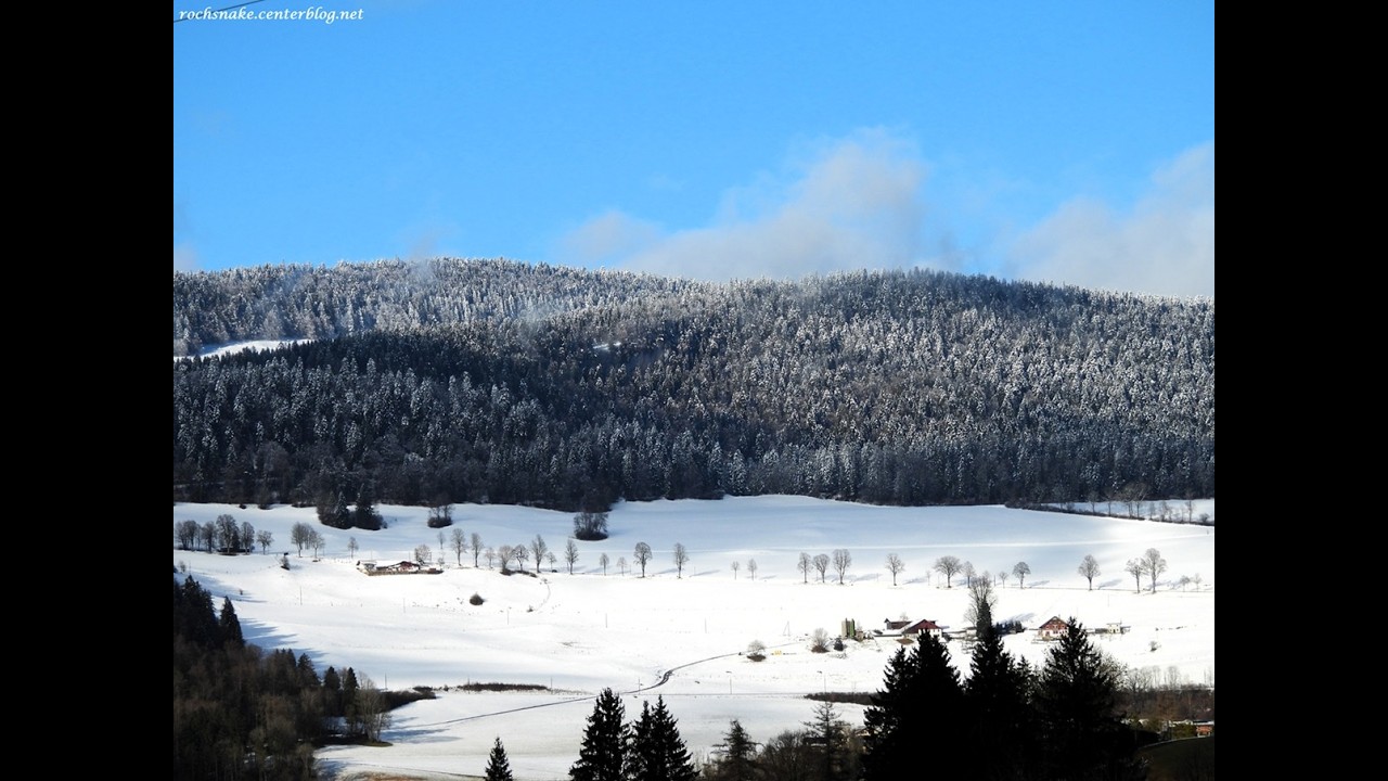 Hiver 2025-2