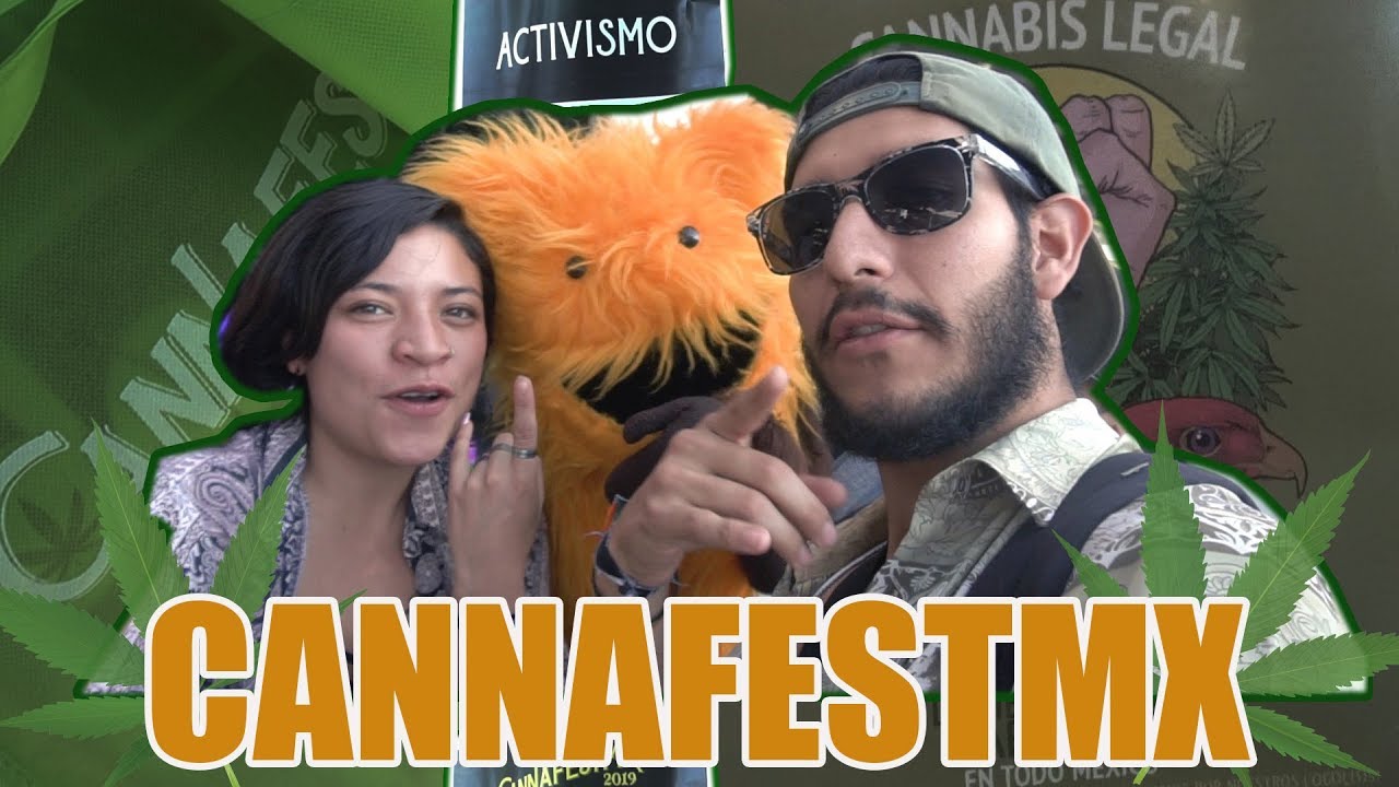 CannafestMx 2019 | Guadalajara