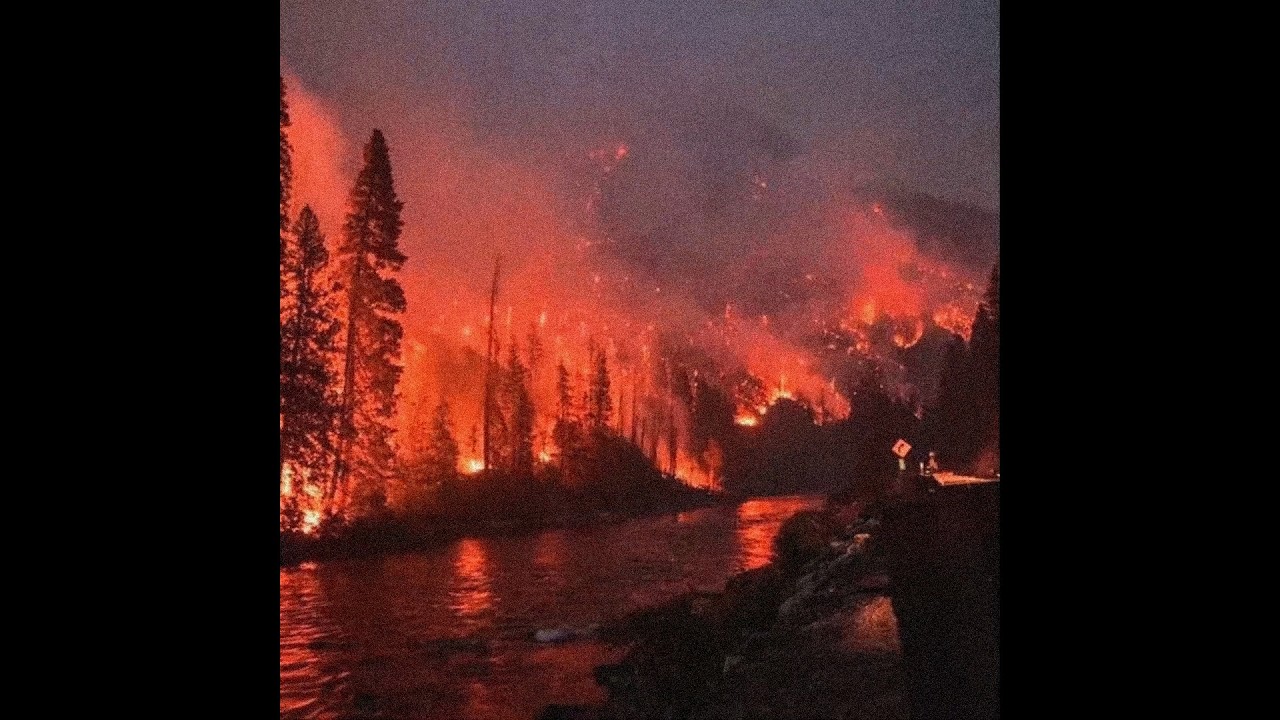 [FREE] Acoustic Guitar Type Beat - 