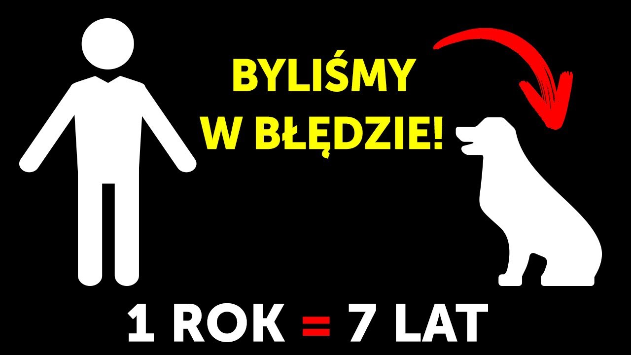 Jak prawidłowo liczyć psie lata i inne ciekawostki o najlepszym przyjacielu człowieka