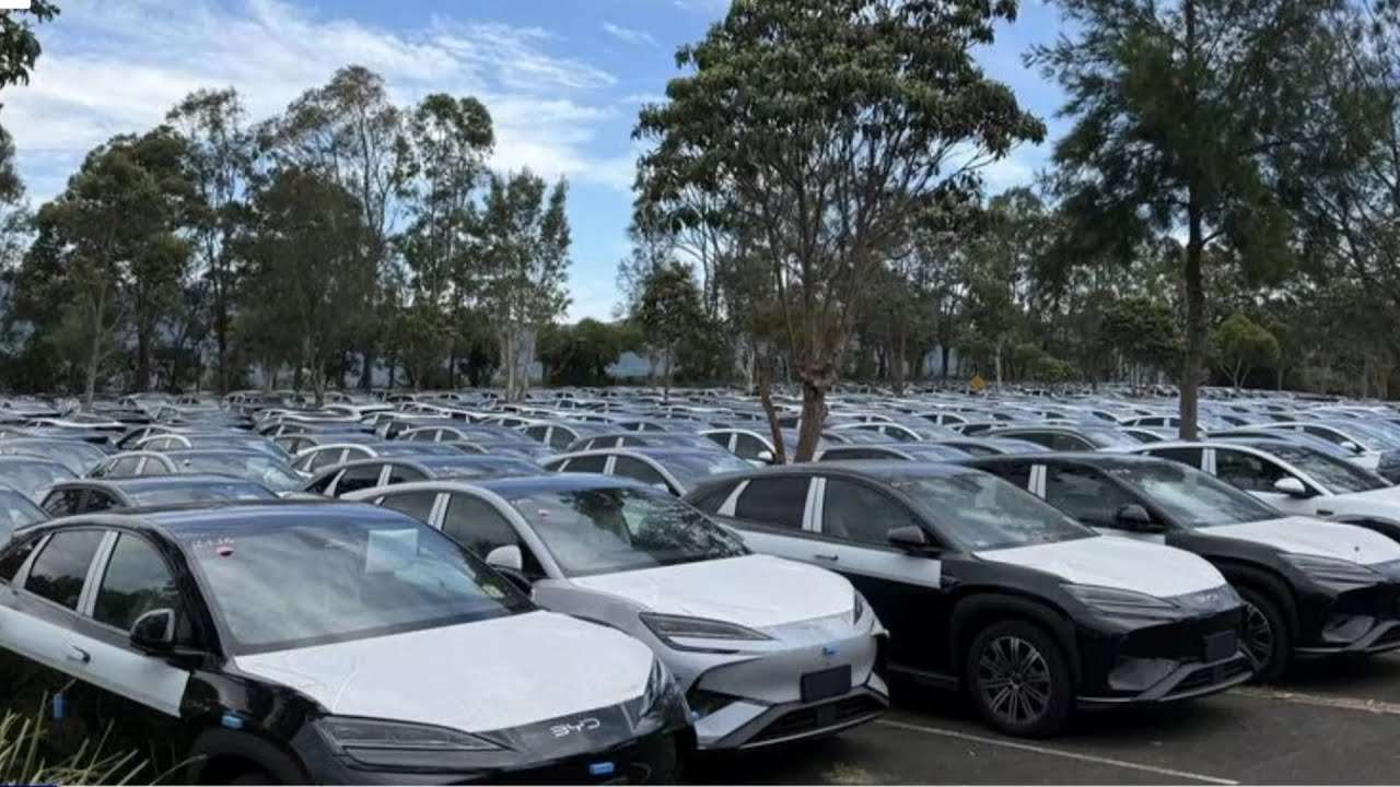 ‘Buy your debt’: EV market seems to be failing as Australian carpark filled with BYD vehicles