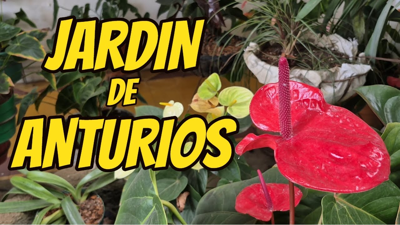 Jardín de la Sra Margarita 
