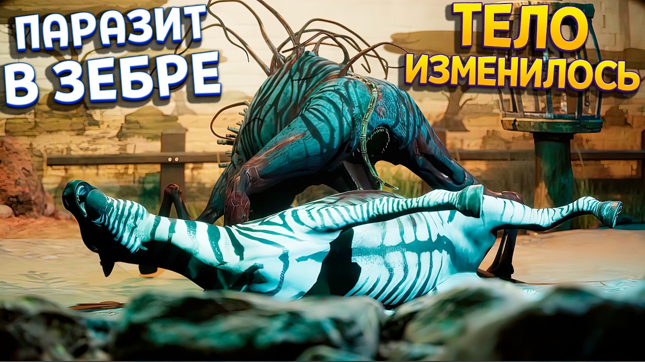 ПАРАЗИТ ИЗМЕНИЛ ТЕЛО ЗЕБРЫ ( Zoochosis )