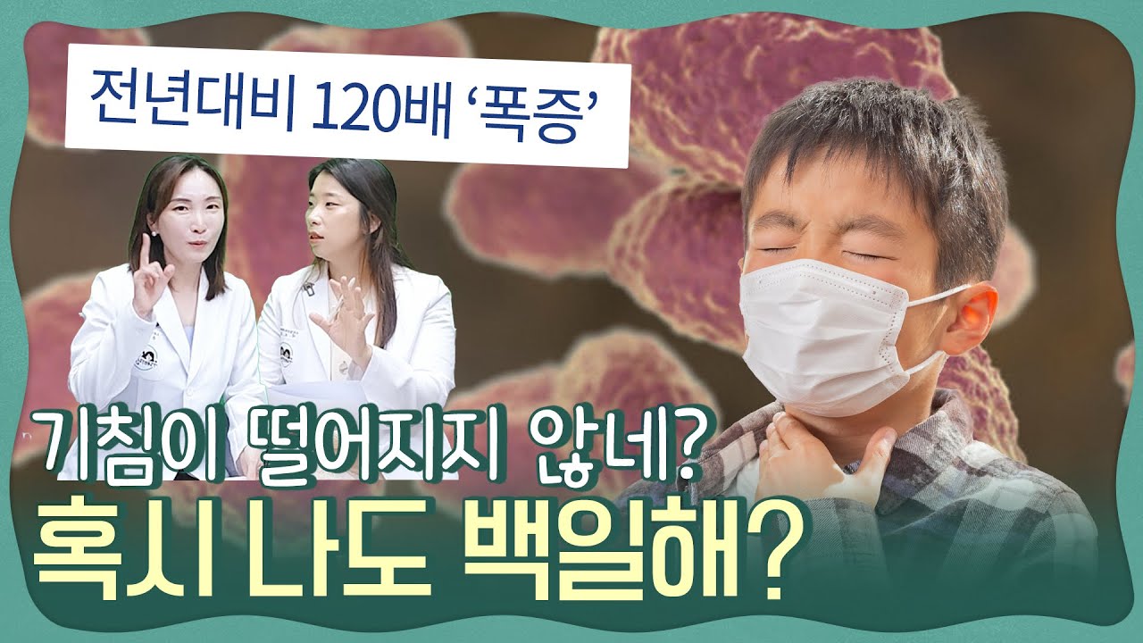 계속되는 기침, 😷우리아이도 백일해? 갑자기 폭증한 전염병, 백일해 치료 및 격리, 예방접종