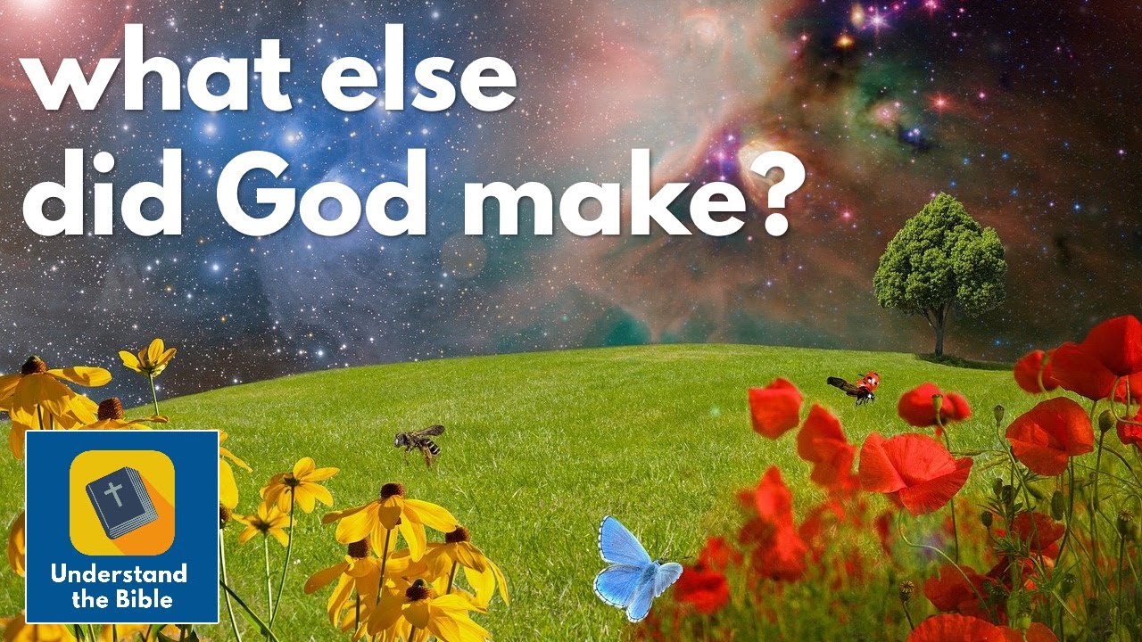 What else did God make? | New City Catechism #5