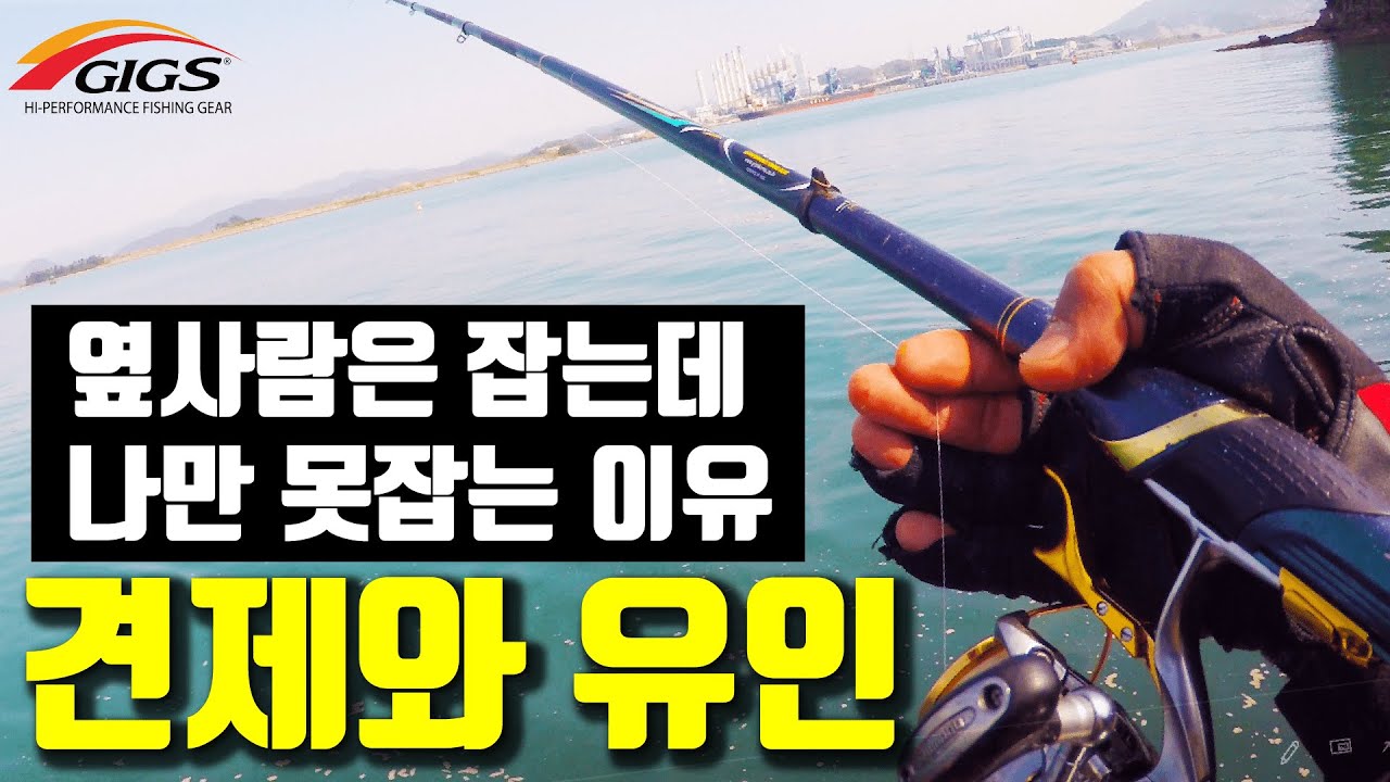 [반유동낚시신병훈련소11]옆 낚시꾼만 입질 오는 이유: 뒷줄 견제와 유인 제대로 하는 방법