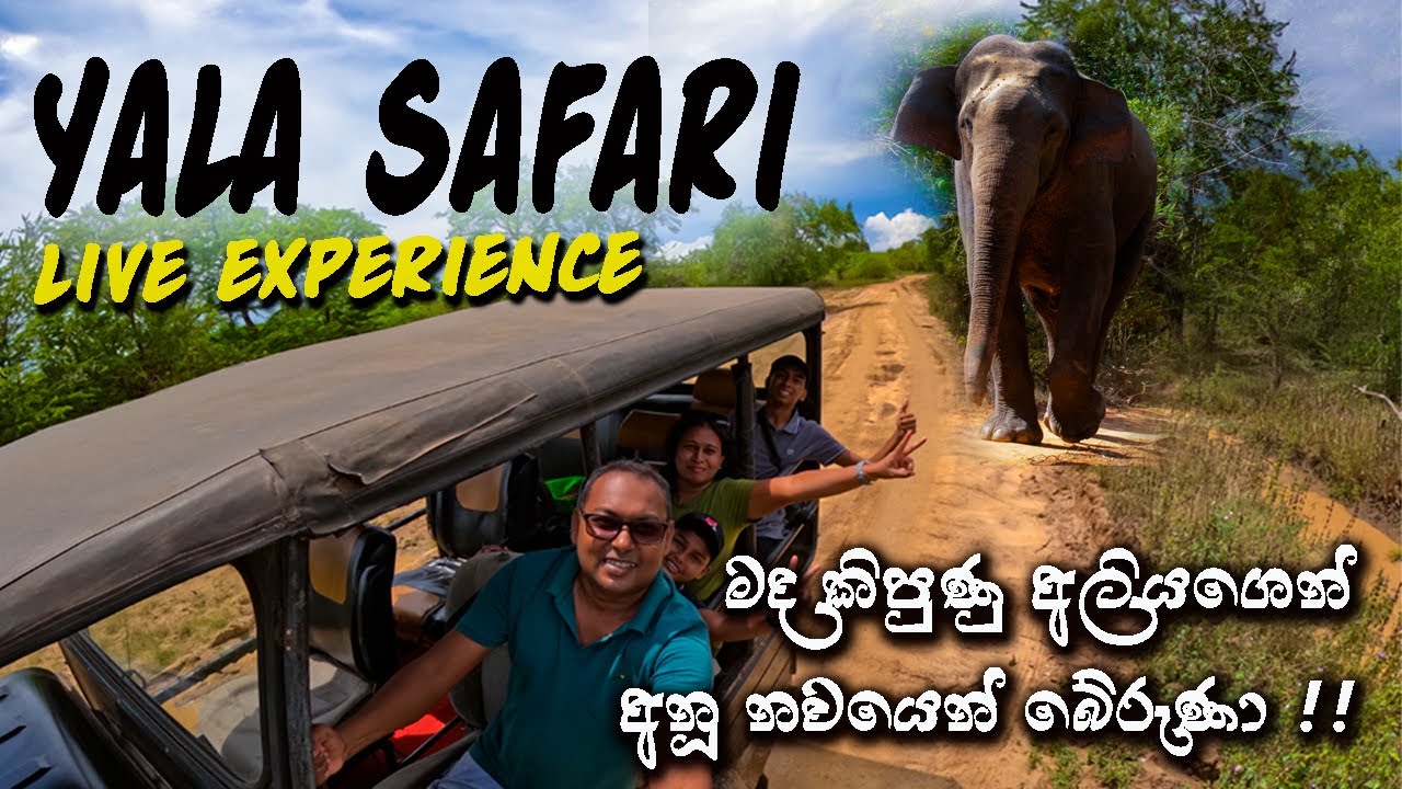 Discover Yala National Park: Sri Lanka’s Ultimate Wildlife Safari Adventure