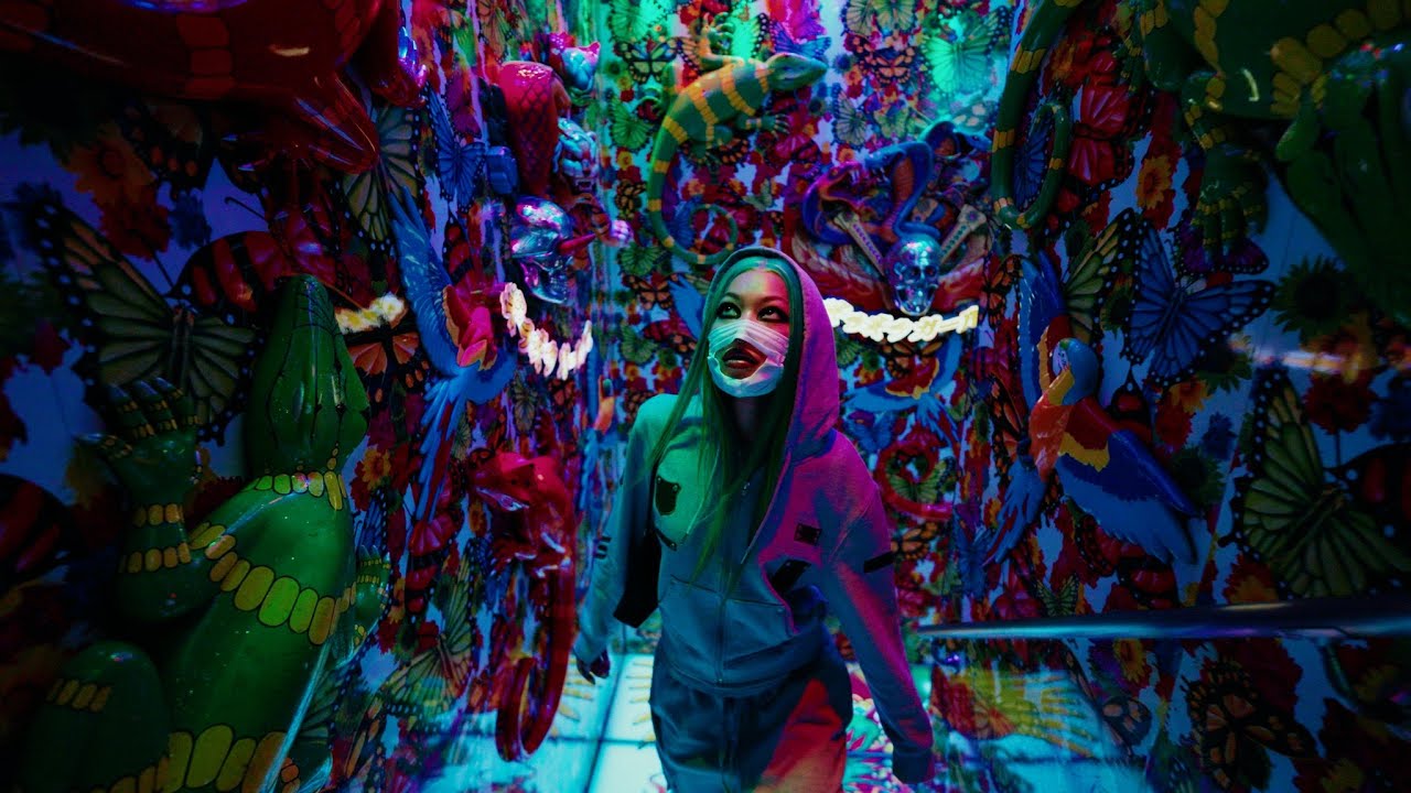 Molly Santana - 1/1 (Official Music Video)