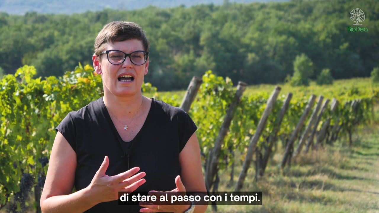 Testimonianza su Vigneto - Distillato di Legno BioDea