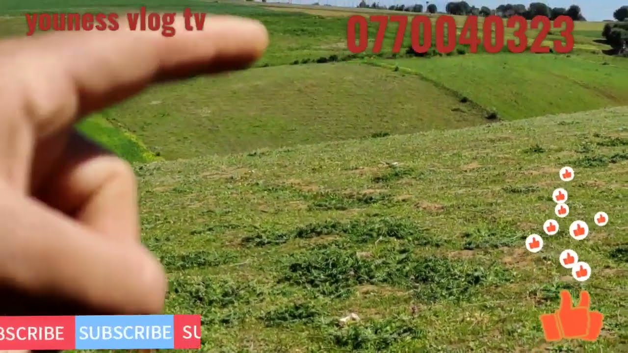 بقعة أرضية للبيع قريبة من أصيلة او قريبةمن الطريق الرئيسي تمن 35درهم للمتر