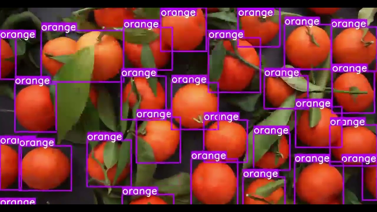 Data Annotation Services For Fruit Detection | Wisepl | #fruits #datalabeling #dataannotation #ai